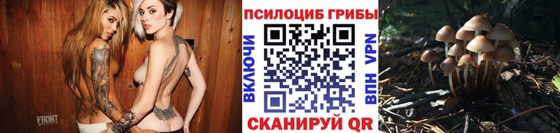 Псилоцибиновые грибы прущие грибы  Дзержинск 