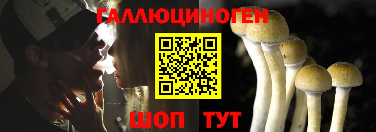 Дзержинск  сколько стоит  Псилоцибиновые грибы MAGIC MUSHROOMS  Вход с VPN  Псилоцибиновые грибы Magic Shrooms 